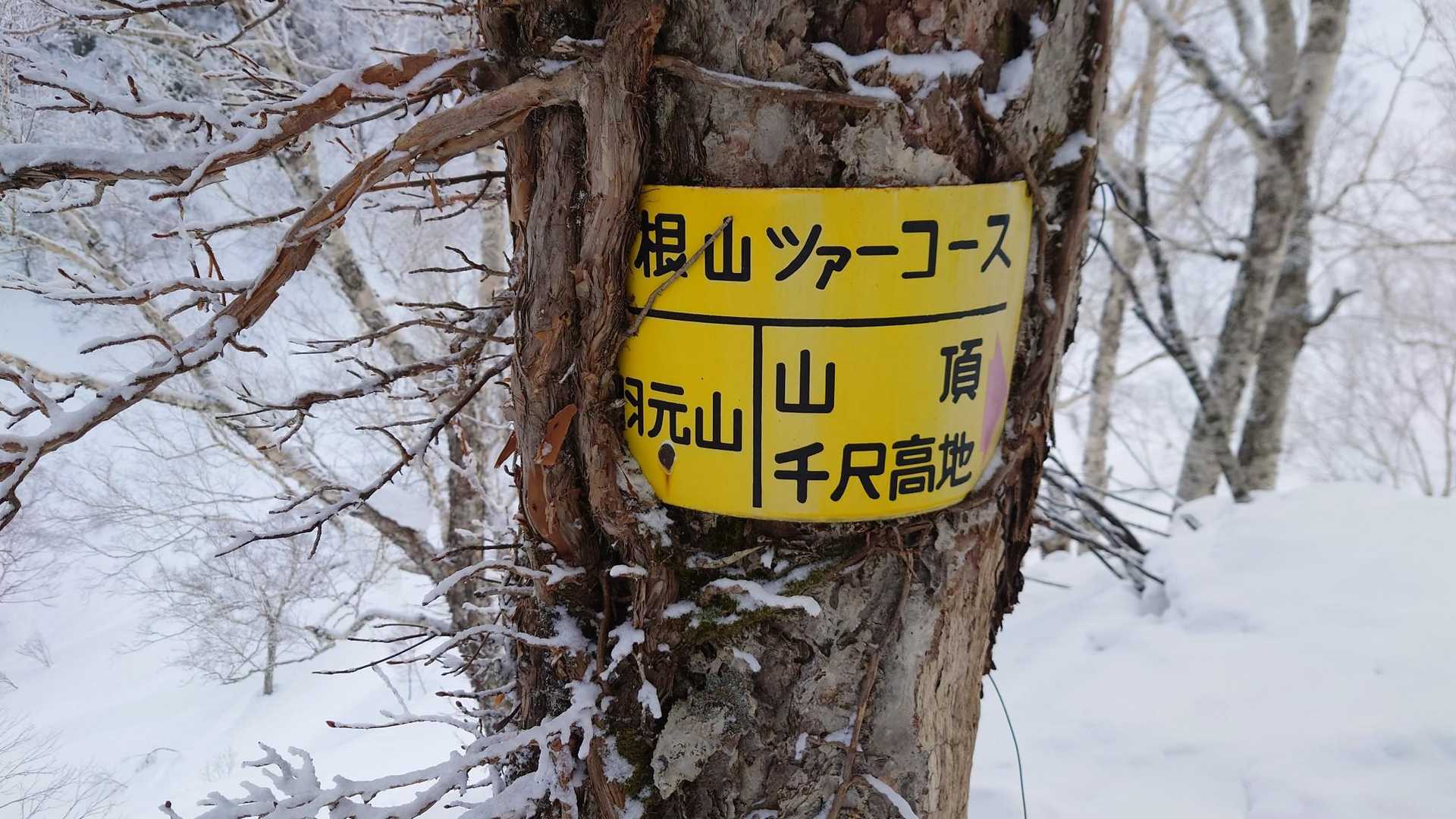 多分ルートに乗ってる、ハズ