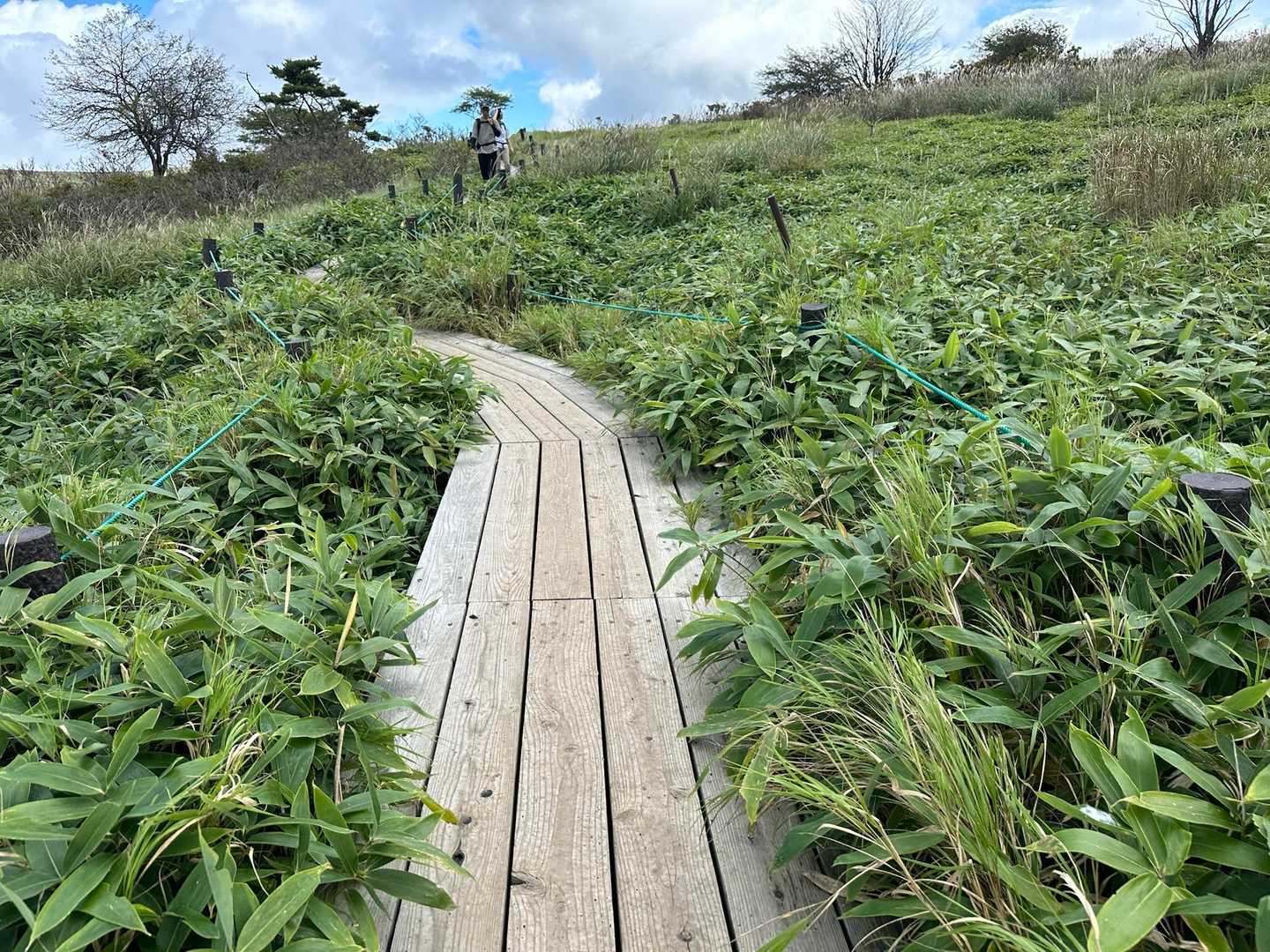 木道だいじ。