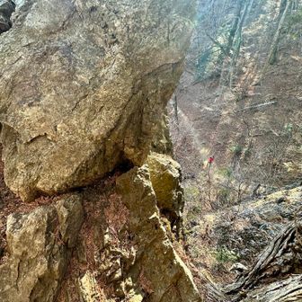 見下ろすと😱💦背中がゾクゾク🥶
高所恐怖症なのに見てみる😅