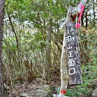 正面口に下山しました🙌