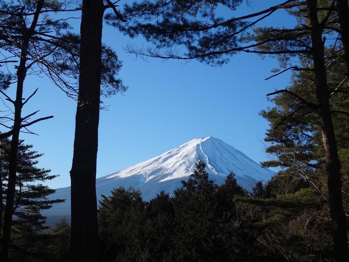 振り返ると、隙間から見える富士山🗻
見晴らし◎ですね✌️
