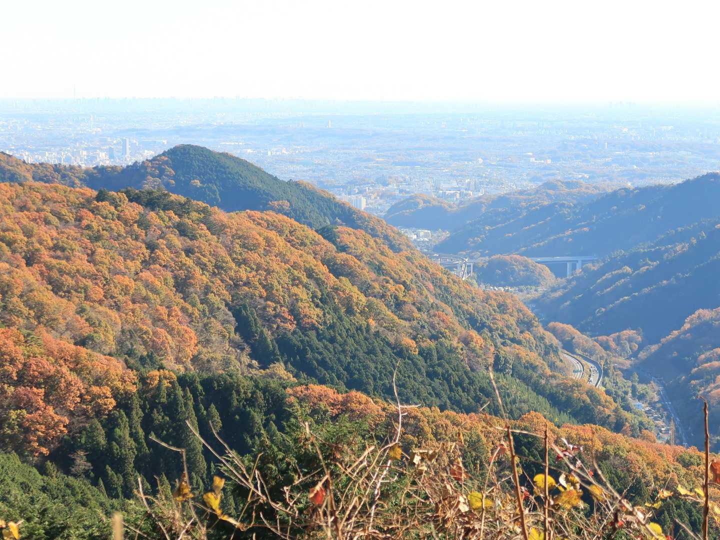 紅葉が広がってます。
