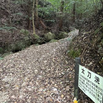 どのコースもよく整備されて、歩きやすいです、ありがとうございました