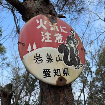 しばらく進んで岩巣山山頂