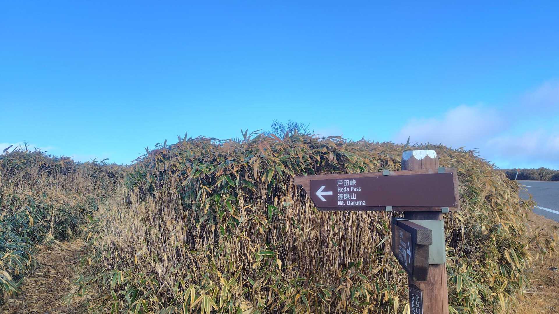 大曲茶屋バス停-伽藍山-古稀山-達磨山-金冠山 縦走コースの写真