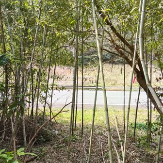 出口が見えてきた😲お疲れ山