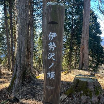 いくつかピークを越えて