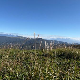 秋もそこまできてます🍂