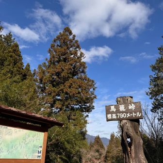 峠は790