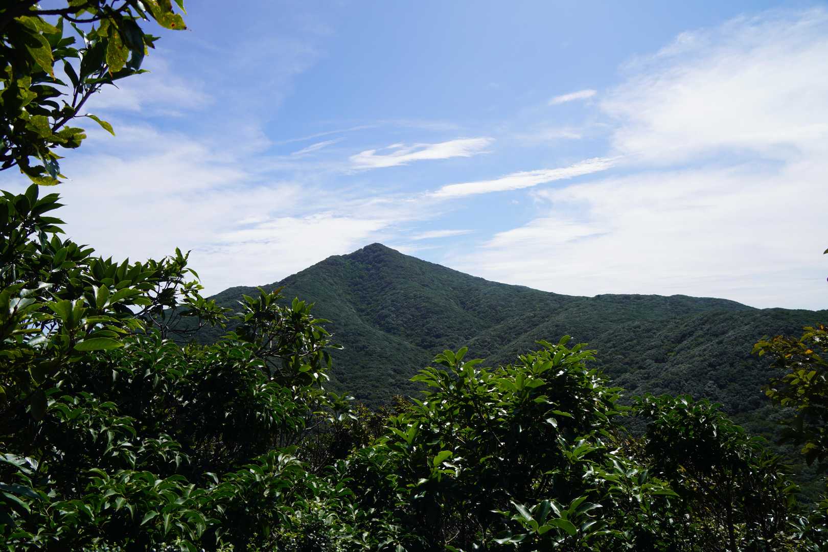 ここまできて金山を臨む
今のコンディションでは厳しいと判断
帰ります