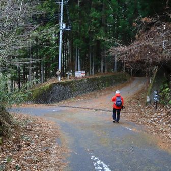 駐車場を右に折れるとすぐに分岐があるので、右に入る