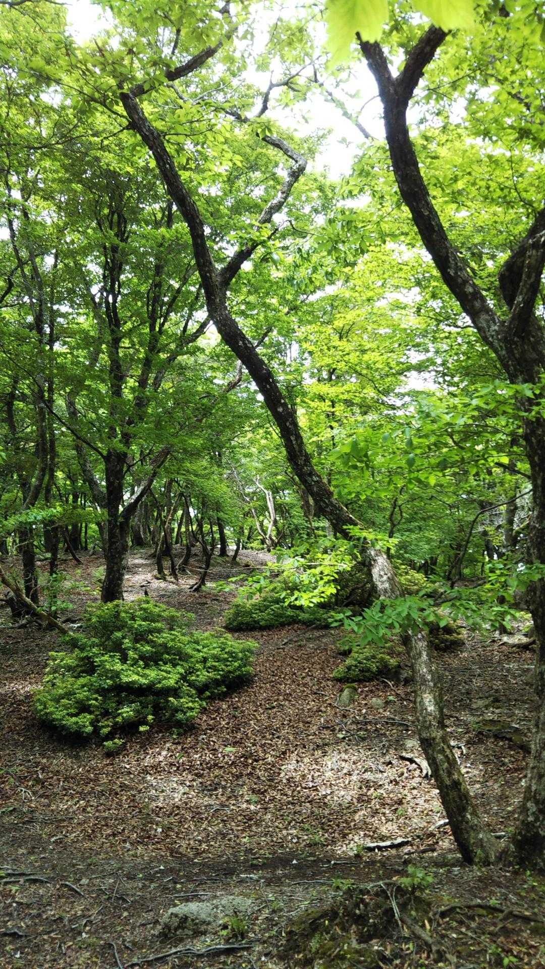 いこいの広場 公園の様な雰囲気に
癒される😘