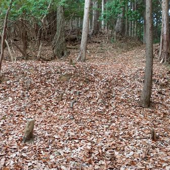 大嶽山…柏尾山城跡の段曲輪跡かな？
小さいながら削平されています