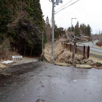 バイオマストイレのところからは、左の舗装道路に進むのが正解