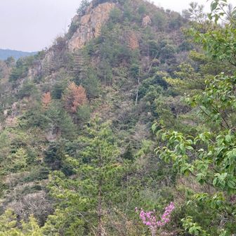 安神山は大三島のマッターホルン？