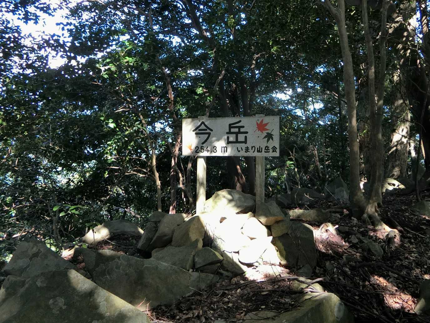 でもなんとか登頂
