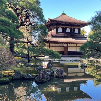 銀閣寺美しい☺️中学の修学旅行以来　京都の方に聞いたら修学旅行は静岡に行ったと言ってた笑