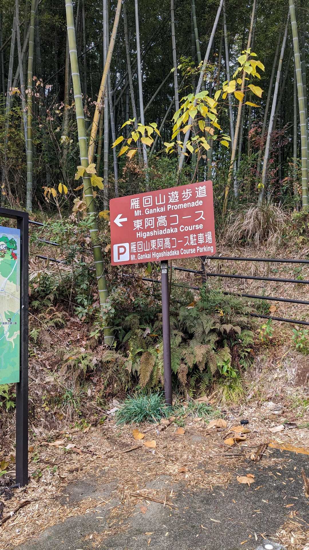 ここから登ります。