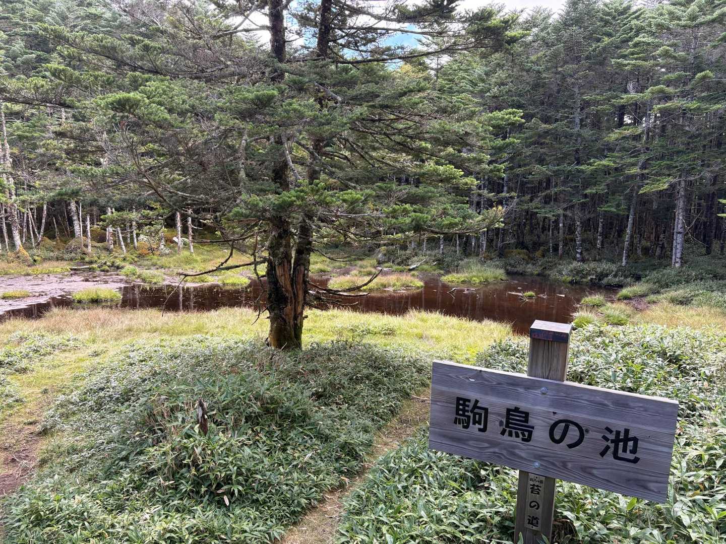 駒鳥の池