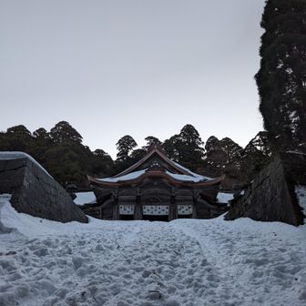今年もよろしくお願いします