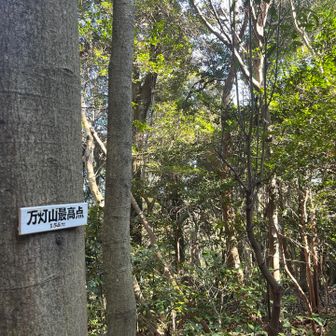 最高点は貸し切りですが展望が無いので山頂に戻ります。