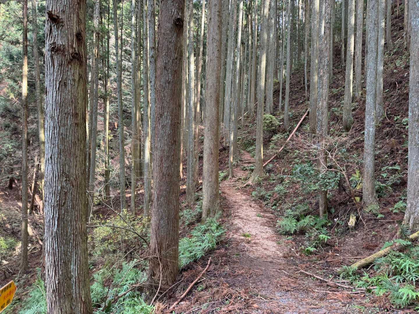 初めはなだらか