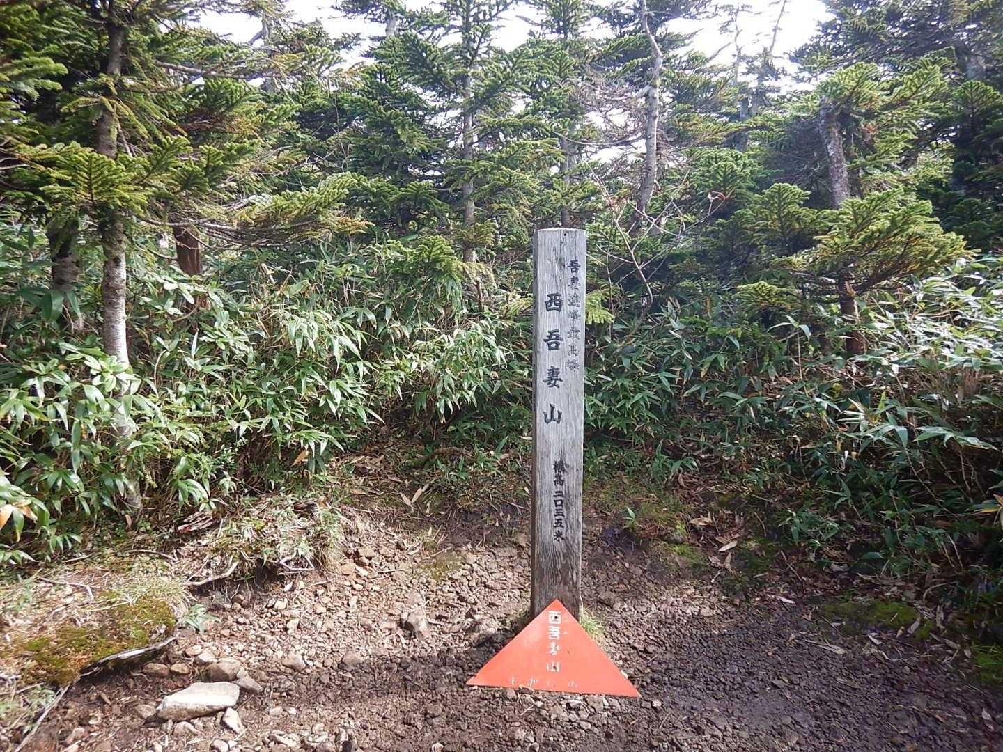 アレッっという感じで西吾妻山登頂しました
