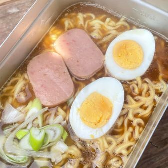 ゆで卵と魚肉バーガーとネギをトッピング