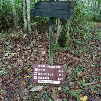 早手のキビレの看板