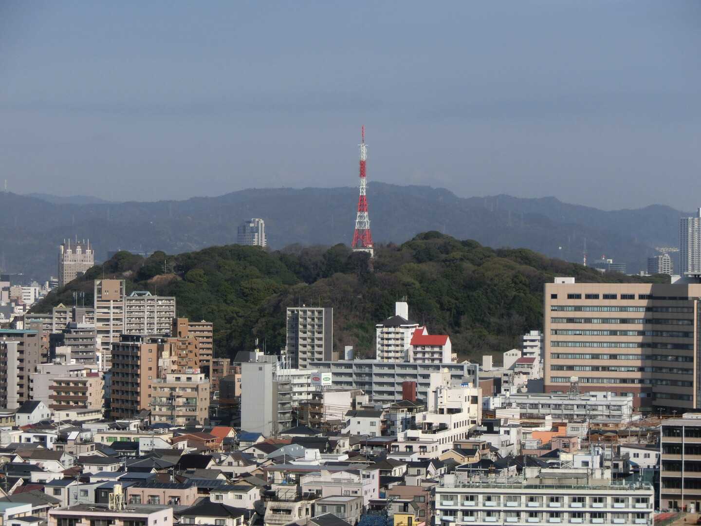 比治山の写真