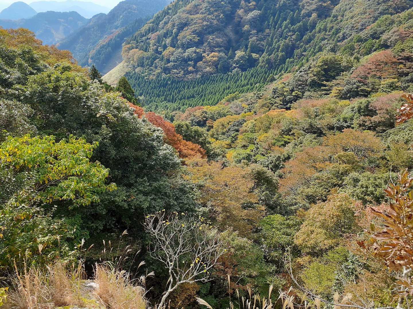 少し紅葉