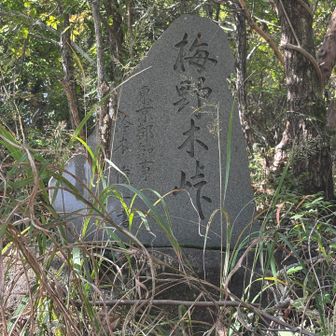鈴木都知事。
在任、長かったですよね…　