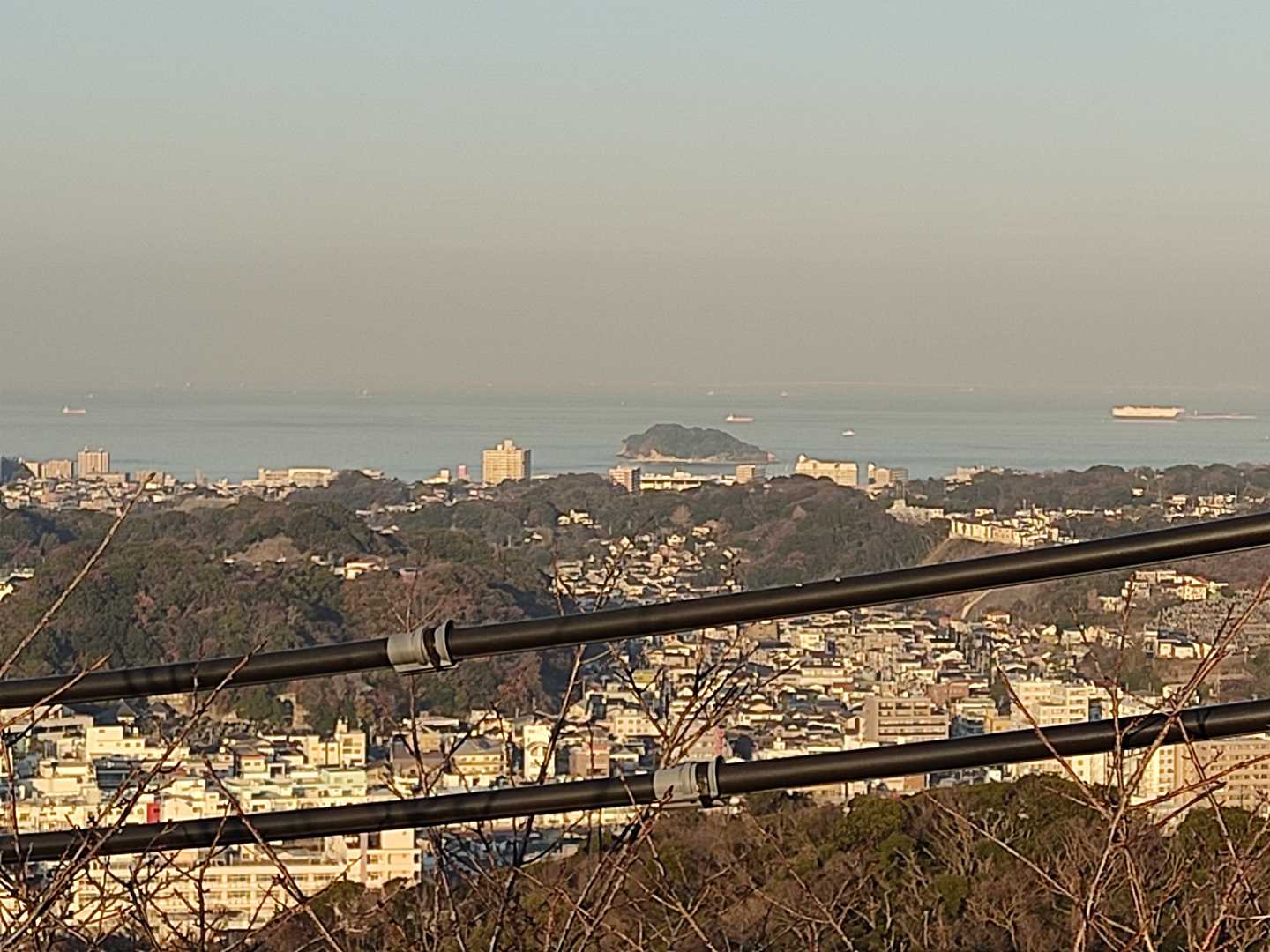 猿島発見！