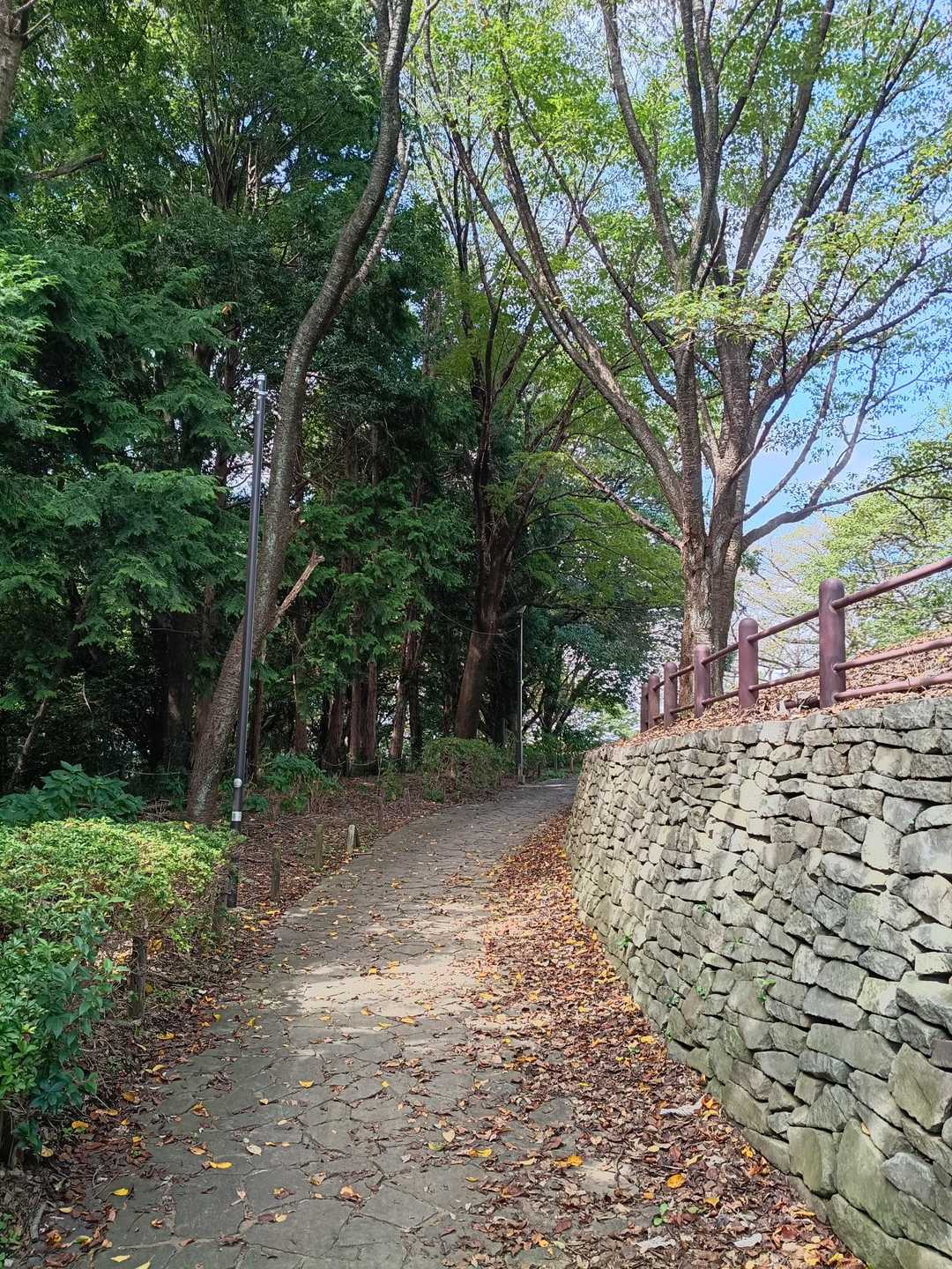 アスファルト道を少し歩き、🌳緑ゾーンへ　🌿いい感じの道