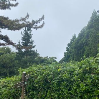 こちらも真っ白。あてにならない温度計は、23℃、80%