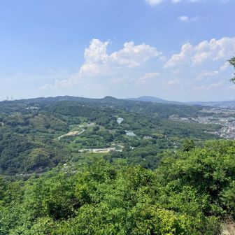 亀の瀬が見えます！