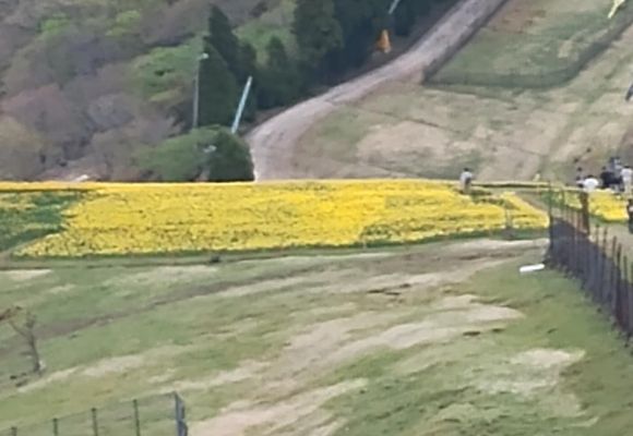 リョウ｜滋賀県の登山記録 | YAMAP / ヤマップ
