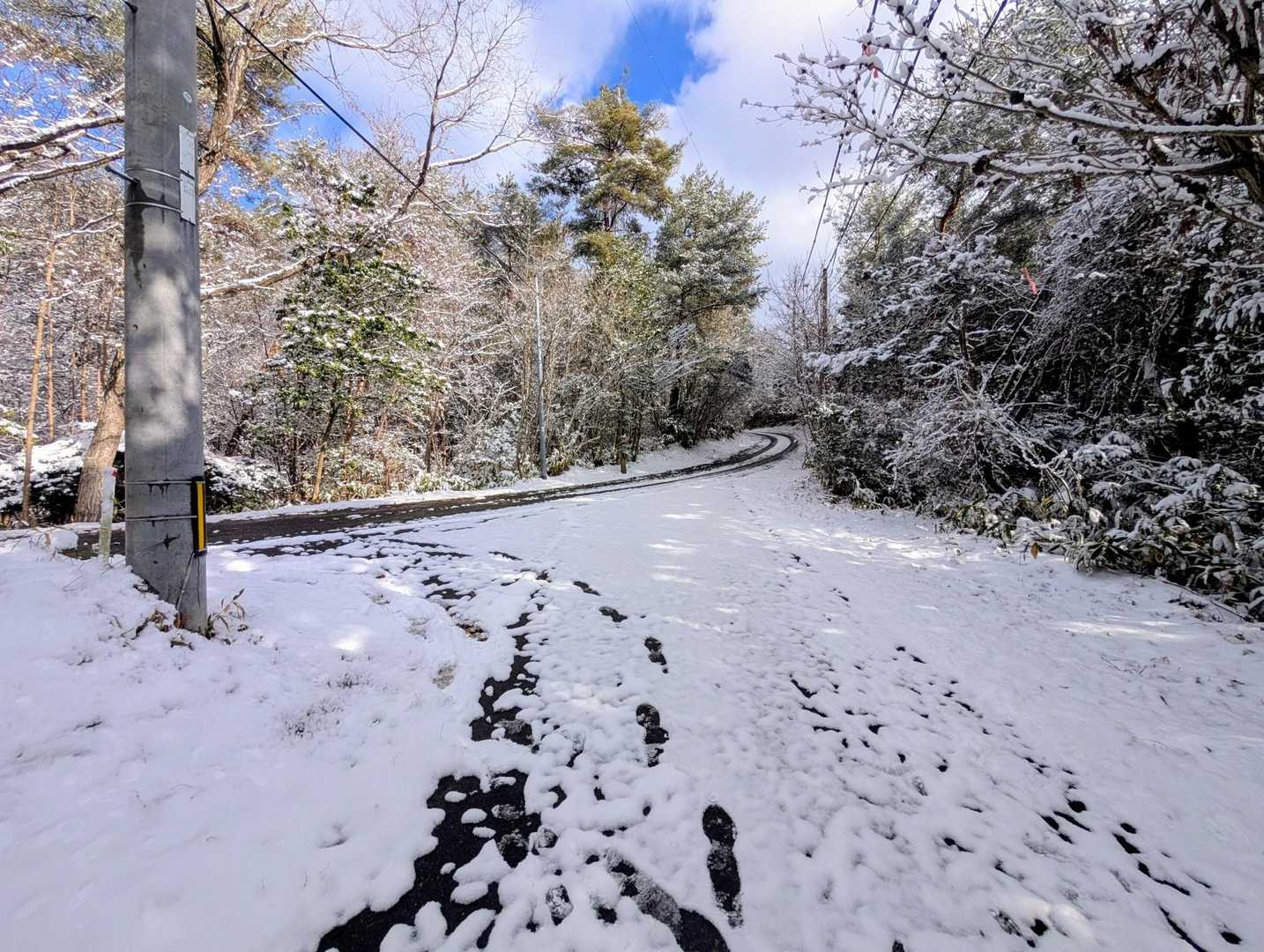 馬乗観音への参拝車道に合流
山頂近辺は道がなだらかになりました