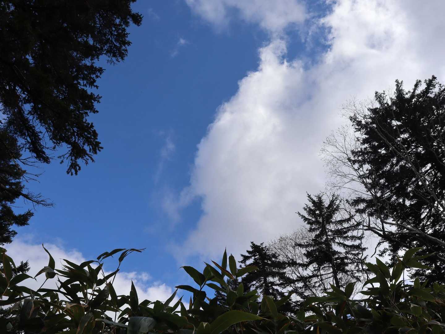 下山していると徐々に晴れてきました☀️
青空が見えるとやっばりテンション上がりますよね