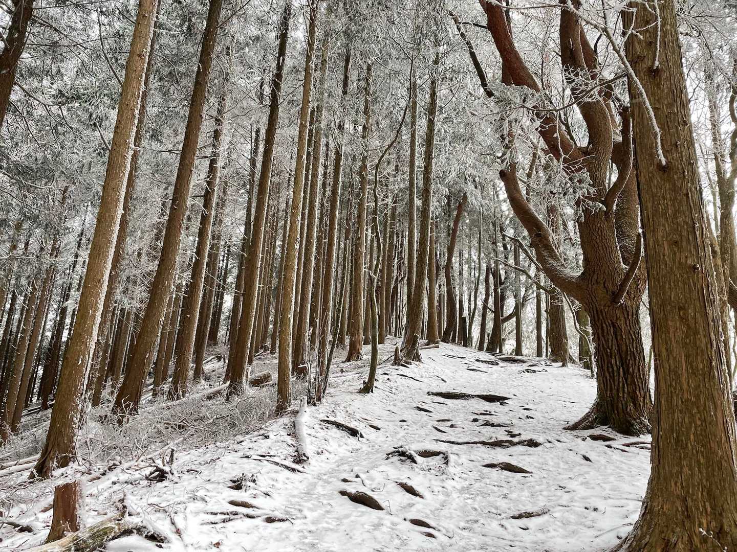 寧比曽岳 往復コースの写真