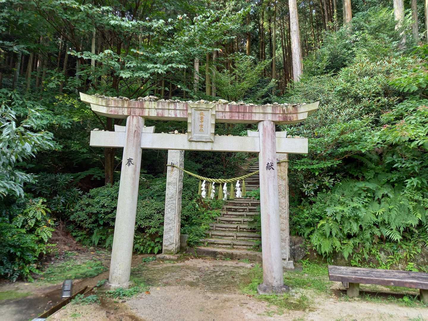 今日は中宮向かって左からのぼりました。