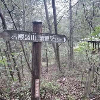 清里駅まで35km💦
白の点が行方不明😆