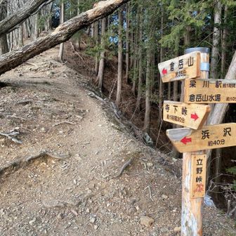 立野峠に到着。倉岳山方面へ進みます