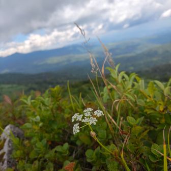 山頂より