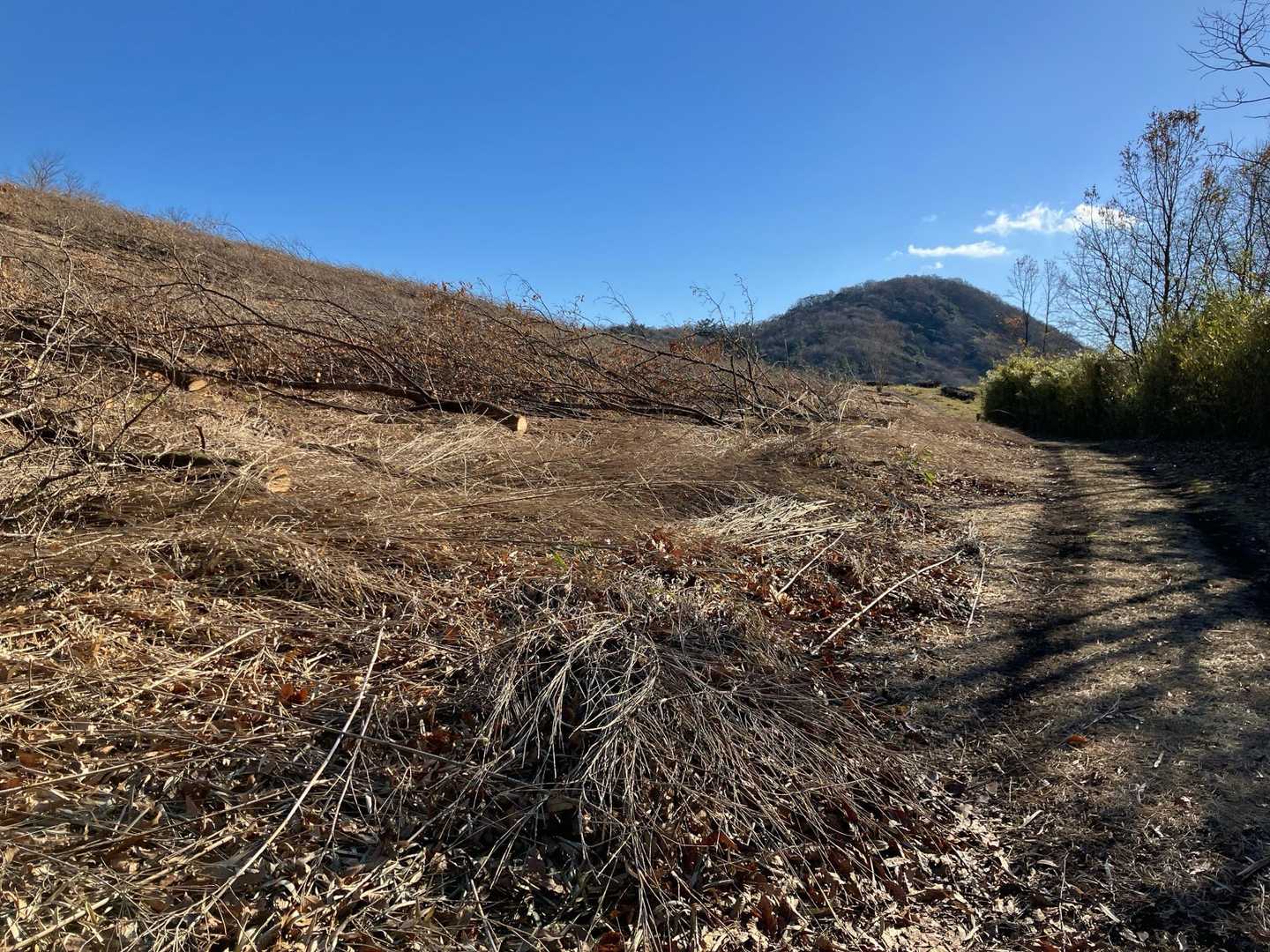 木が伐採されて、小鹿山が見えるようになった