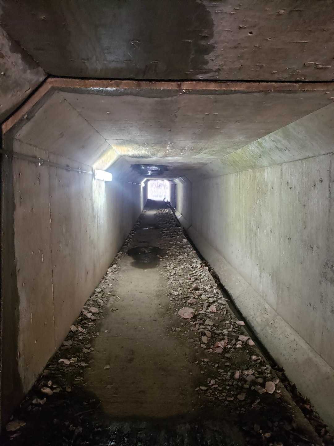 兵の沢コース登山口-二子山 往復コースの写真
