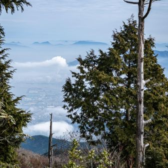木々の間から霞の中に讃岐の山々が見える。あれはえっと大麻山や我拝師山、天霧山かな？