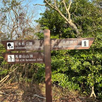 あと50メートル！