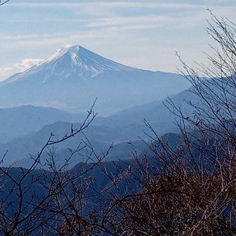 食後、もう一枚！