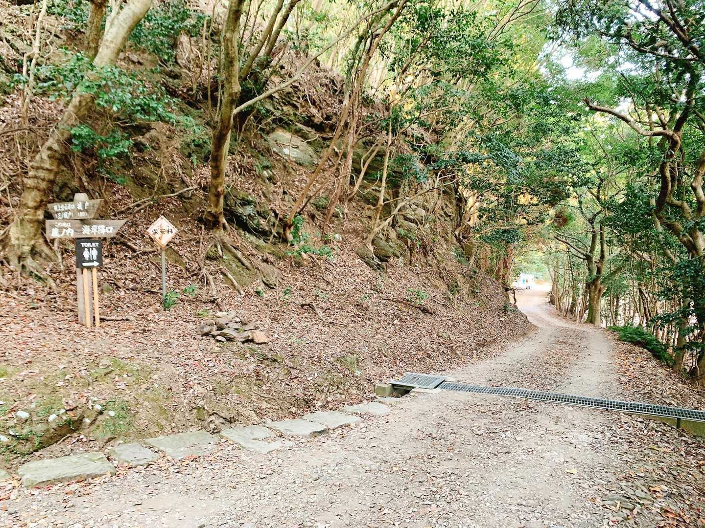 城山登山口-城山 往復コースの写真